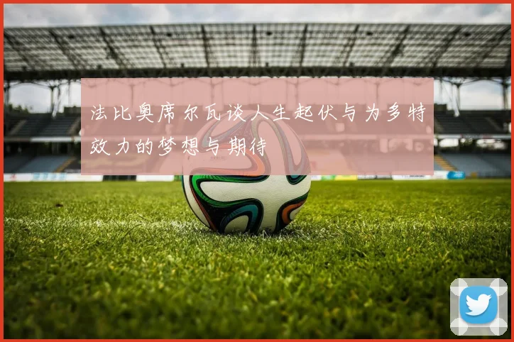法比奥席尔瓦谈人生起伏与为多特效力的梦想与期待